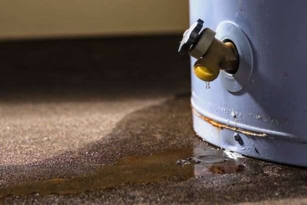 Best Basement water damage restoration  in Sansom Park, TX